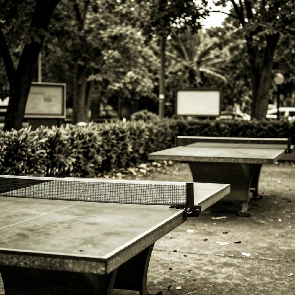 Đứa trẻ mười tuổi, quả bóng dành cho chó và cách bóng bàn Anh gieo mầm từ khung giờ vàng mẫu giáo Đứa trẻ mười tuổi, quả bóng dành cho chó và cách bóng bàn Anh gieo mầm từ khung giờ vàng mẫu giáo