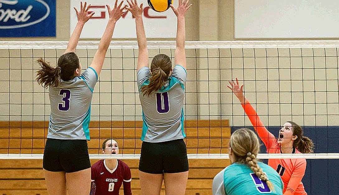 The Pivot on the Wing: Vietnam Volleyball's Setter Blind Spot in the Transfer Window The Pivot on the Wing: Vietnam Volleyball's Setter Blind Spot in the Transfer Window