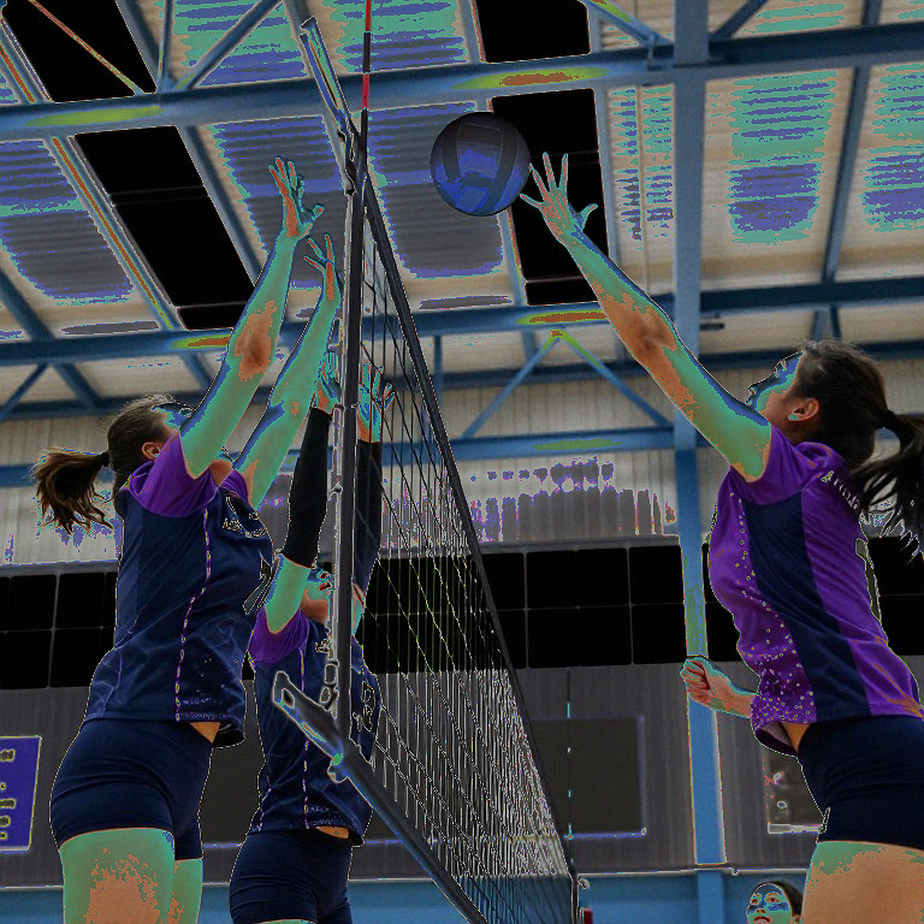 The Pivot on the Wing: Vietnam Volleyball's Setter Blind Spot in the Transfer Window The Pivot on the Wing: Vietnam Volleyball's Setter Blind Spot in the Transfer Window
