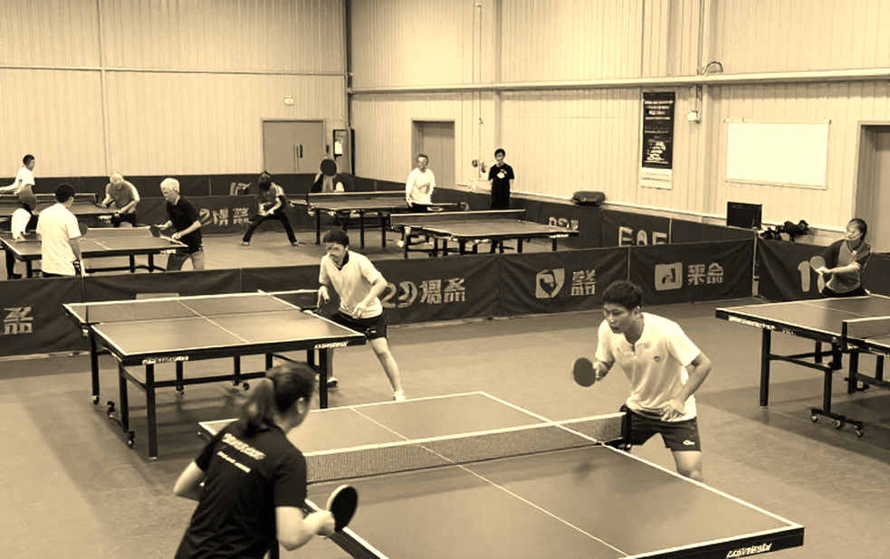 New Braintree Table Tennis League season: Black Notley B, the relegated-team paradox, and the pathway of twelve-year-old players