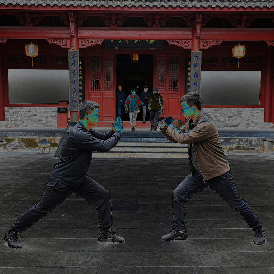 Vietnamese Martial Arts in the Southeast Asian Current: Identity, Data and the Professionalisation Problem