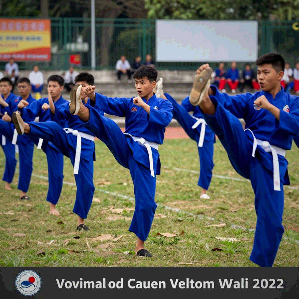 Võ thuật Việt Nam: Sàn đấu mọc lên, nhưng chuỗi giá trị vẫn đứt