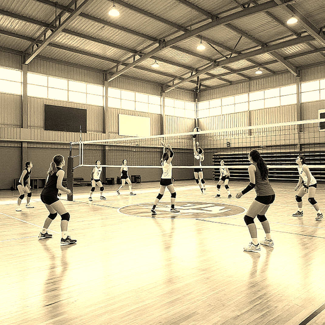 Asian Women's Volleyball: China's Crown and the Data Void Beneath the Standings Asian Women's Volleyball: China's Crown and the Data Void Beneath the Standings