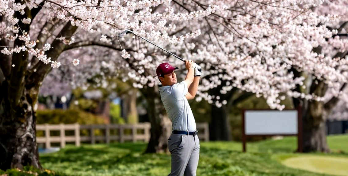Bảng điểm trống và cái bẫy của phân tích golf hiện đại